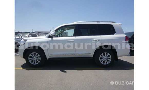 Acheter Import Voiture Toyota Land Cruiser Blanc à Import - Dubai, Adrar Acheter Import Voiture Toyota Land Cruiser Blanc à Import - Dubai, Adrar