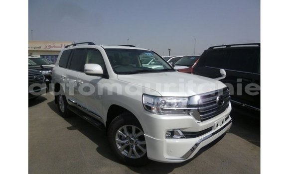 Acheter Import Voiture Toyota Land Cruiser Blanc à Import - Dubai, Adrar Acheter Import Voiture Toyota Land Cruiser Blanc à Import - Dubai, Adrar