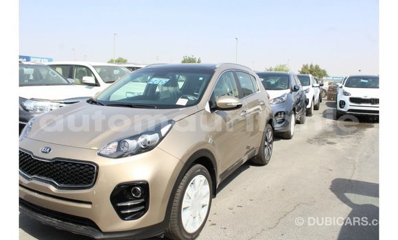 Acheter Import Voiture Kia Sportage Noir à Import - Dubai, Adrar