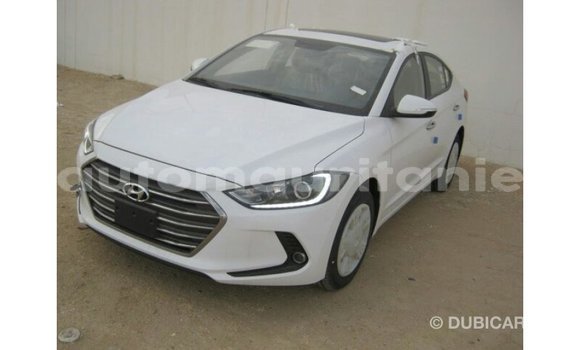 Buy Import Hyundai Elantra White Car in Import - Dubai in Adrar Buy Import Hyundai Elantra White Car in Import - Dubai in Adrar