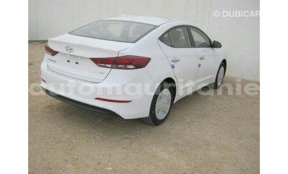 Buy Import Hyundai Elantra White Car in Import - Dubai in Adrar Buy Import Hyundai Elantra White Car in Import - Dubai in Adrar
