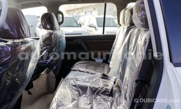 Acheter Import Voiture Toyota Land Cruiser Blanc à Import - Dubai, Adrar Acheter Import Voiture Toyota Land Cruiser Blanc à Import - Dubai, Adrar