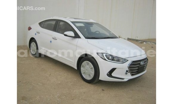 Buy Import Hyundai Elantra White Car in Import - Dubai in Adrar Buy Import Hyundai Elantra White Car in Import - Dubai in Adrar