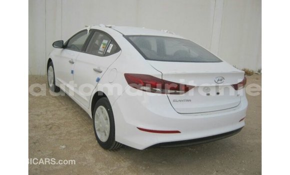 Acheter Import Voiture Hyundai Elantra Blanc à Import - Dubai, Adrar