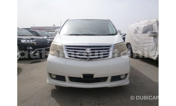 Acheter Import Voiture Toyota Alphard Blanc à Import - Dubai, Adrar Acheter Import Voiture Toyota Alphard Blanc à Import - Dubai, Adrar
