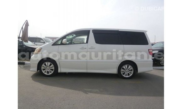 Acheter Import Voiture Toyota Alphard Blanc à Import - Dubai, Adrar Acheter Import Voiture Toyota Alphard Blanc à Import - Dubai, Adrar