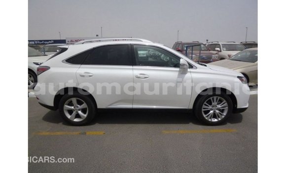 Acheter Import Voiture Lexus RX 350 Blanc à Import - Dubai, Adrar Acheter Import Voiture Lexus RX 350 Blanc à Import - Dubai, Adrar