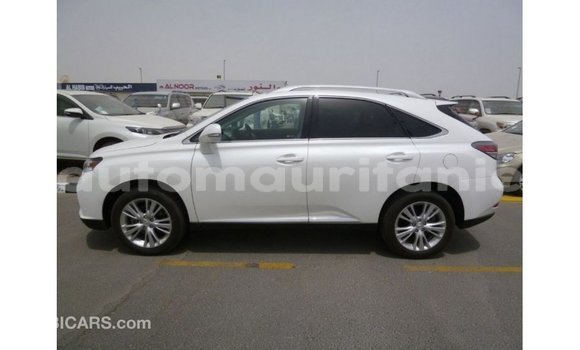 Acheter Import Voiture Lexus RX 350 Blanc à Import - Dubai, Adrar Acheter Import Voiture Lexus RX 350 Blanc à Import - Dubai, Adrar