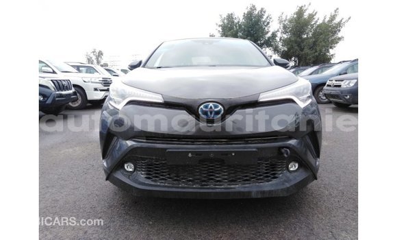 Acheter Import Voiture Toyota C-HR Autre à Import - Dubai, Adrar Acheter Import Voiture Toyota C-HR Autre à Import - Dubai, Adrar