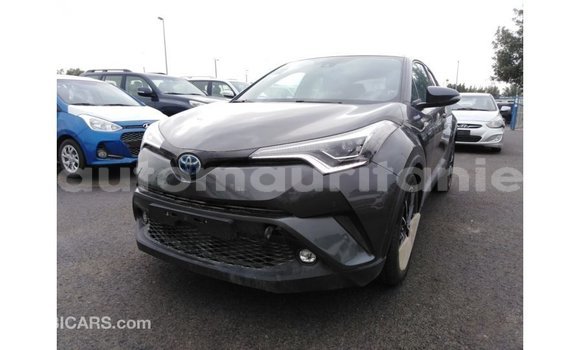 Acheter Import Voiture Toyota C-HR Autre à Import - Dubai, Adrar Acheter Import Voiture Toyota C-HR Autre à Import - Dubai, Adrar