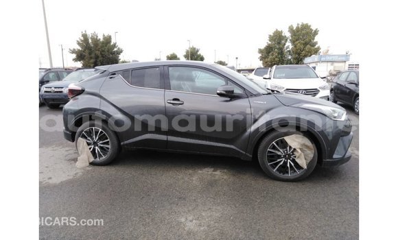 Acheter Import Voiture Toyota C-HR Autre à Import - Dubai, Adrar Acheter Import Voiture Toyota C-HR Autre à Import - Dubai, Adrar