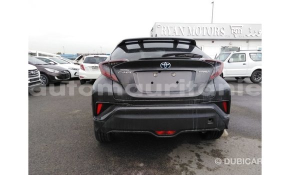 Acheter Import Voiture Toyota C-HR Autre à Import - Dubai, Adrar Acheter Import Voiture Toyota C-HR Autre à Import - Dubai, Adrar
