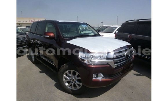 Acheter Import Voiture Toyota Land Cruiser Autre à Import - Dubai, Adrar Acheter Import Voiture Toyota Land Cruiser Autre à Import - Dubai, Adrar
