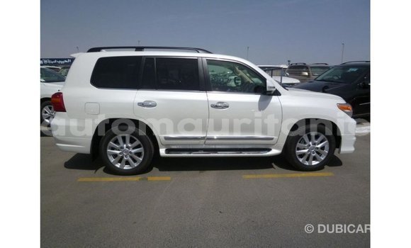 Acheter Import Voiture Toyota Land Cruiser Blanc à Import - Dubai, Adrar Acheter Import Voiture Toyota Land Cruiser Blanc à Import - Dubai, Adrar