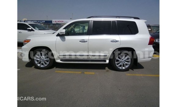 Acheter Import Voiture Toyota Land Cruiser Blanc à Import - Dubai, Adrar Acheter Import Voiture Toyota Land Cruiser Blanc à Import - Dubai, Adrar