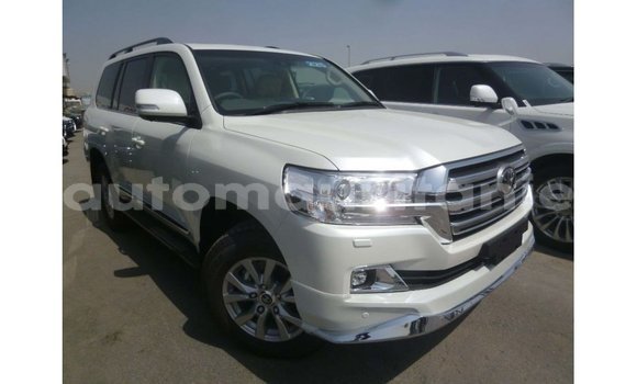 Acheter Import Voiture Toyota Land Cruiser Blanc à Import - Dubai, Adrar Acheter Import Voiture Toyota Land Cruiser Blanc à Import - Dubai, Adrar