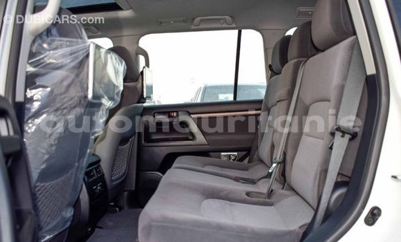 Buy Import Toyota Land Cruiser White Car in Import - Dubai in Adrar Buy Import Toyota Land Cruiser White Car in Import - Dubai in Adrar