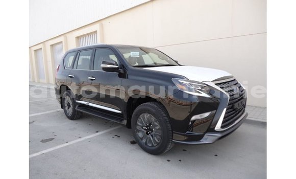 Buy Import Lexus GX Black Car in Import - Dubai in Adrar Buy Import Lexus GX Black Car in Import - Dubai in Adrar