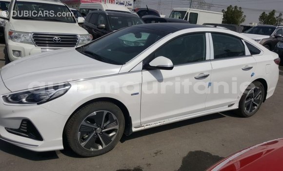 Acheter Import Voiture Hyundai Sonata Blanc à Import - Dubai, Adrar Acheter Import Voiture Hyundai Sonata Blanc à Import - Dubai, Adrar