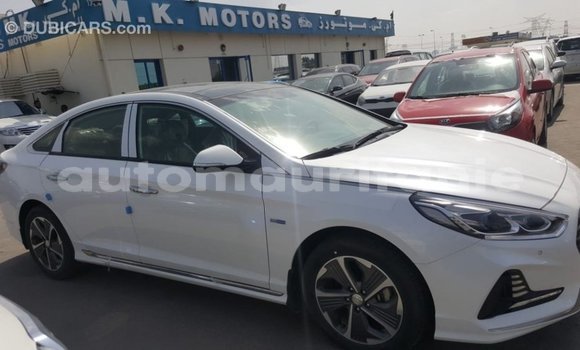 Acheter Import Voiture Hyundai Sonata Blanc à Import - Dubai, Adrar Acheter Import Voiture Hyundai Sonata Blanc à Import - Dubai, Adrar