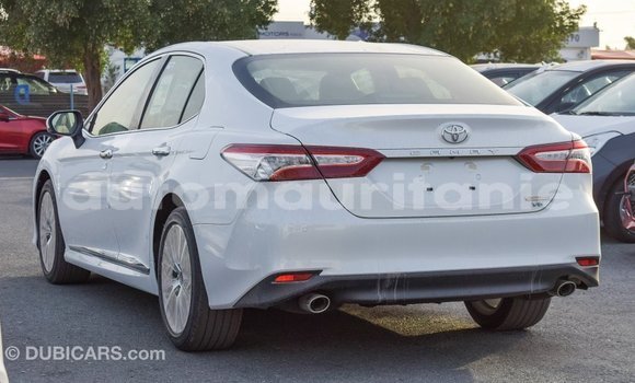 Buy Import Toyota Camry White Car in Import - Dubai in Adrar Buy Import Toyota Camry White Car in Import - Dubai in Adrar