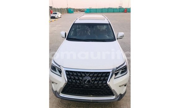 Buy Import Lexus GX White Car in Import - Dubai in Adrar Buy Import Lexus GX White Car in Import - Dubai in Adrar