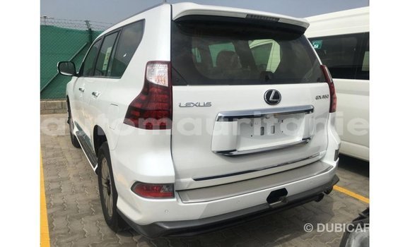 Buy Import Lexus GX White Car in Import - Dubai in Adrar Buy Import Lexus GX White Car in Import - Dubai in Adrar