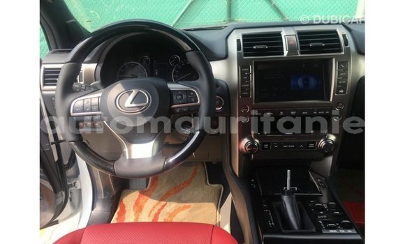 Buy Import Lexus GX White Car in Import - Dubai in Adrar Buy Import Lexus GX White Car in Import - Dubai in Adrar
