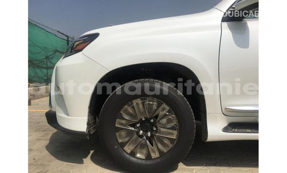Buy Import Lexus GX White Car in Import - Dubai in Adrar Buy Import Lexus GX White Car in Import - Dubai in Adrar