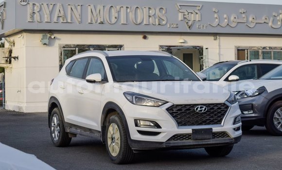 Buy Import Hyundai Tucson White Car in Import - Dubai in Adrar Buy Import Hyundai Tucson White Car in Import - Dubai in Adrar
