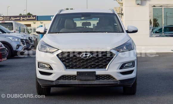 Buy Import Hyundai Tucson White Car in Import - Dubai in Adrar Buy Import Hyundai Tucson White Car in Import - Dubai in Adrar