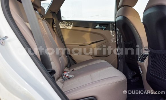 Buy Import Hyundai Tucson White Car in Import - Dubai in Adrar Buy Import Hyundai Tucson White Car in Import - Dubai in Adrar