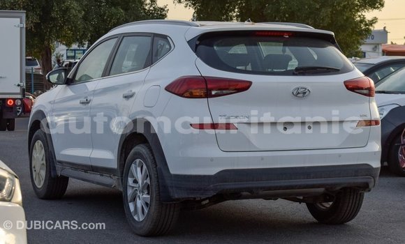 Buy Import Hyundai Tucson White Car in Import - Dubai in Adrar Buy Import Hyundai Tucson White Car in Import - Dubai in Adrar