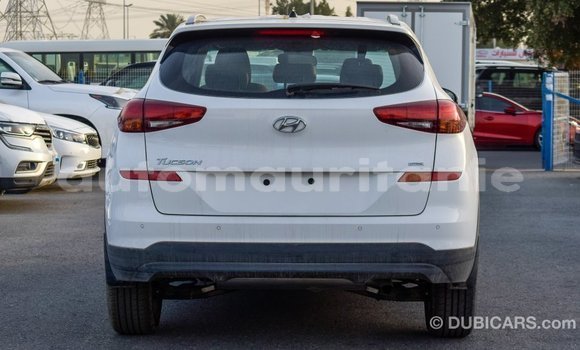 Buy Import Hyundai Tucson White Car in Import - Dubai in Adrar Buy Import Hyundai Tucson White Car in Import - Dubai in Adrar