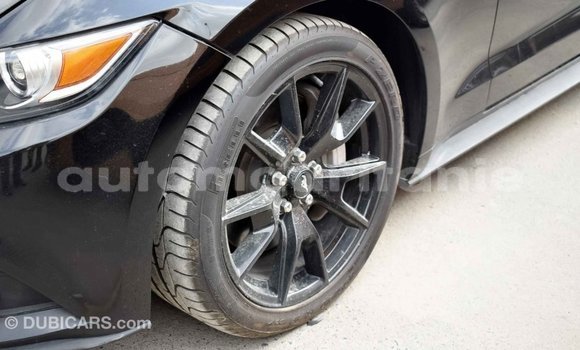 Acheter Import Voiture Ford Mustang Noir à Import - Dubai, Adrar