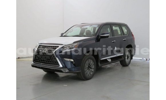 Buy Import Lexus GX Blue Car in Import - Dubai in Adrar Buy Import Lexus GX Blue Car in Import - Dubai in Adrar