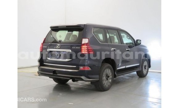 Buy Import Lexus GX Blue Car in Import - Dubai in Adrar Buy Import Lexus GX Blue Car in Import - Dubai in Adrar