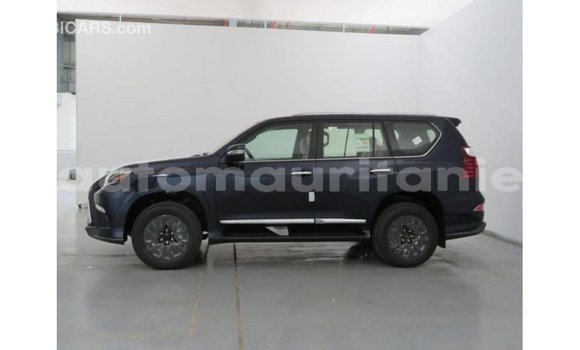 Buy Import Lexus GX Blue Car in Import - Dubai in Adrar Buy Import Lexus GX Blue Car in Import - Dubai in Adrar