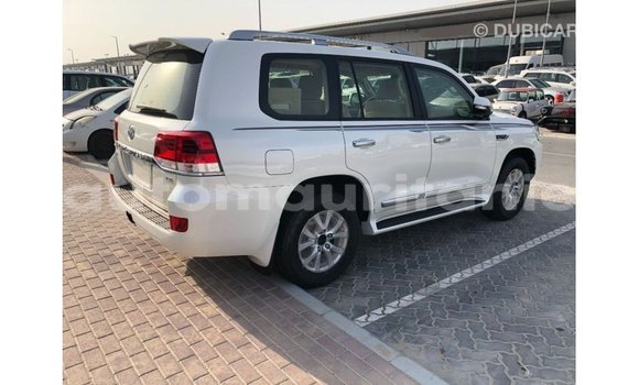 Acheter Import Voiture Toyota Land Cruiser Blanc à Import - Dubai, Adrar Acheter Import Voiture Toyota Land Cruiser Blanc à Import - Dubai, Adrar