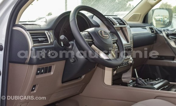 Buy Import Lexus GX White Car in Import - Dubai in Adrar Buy Import Lexus GX White Car in Import - Dubai in Adrar