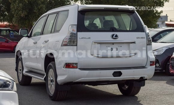 Buy Import Lexus GX White Car in Import - Dubai in Adrar Buy Import Lexus GX White Car in Import - Dubai in Adrar