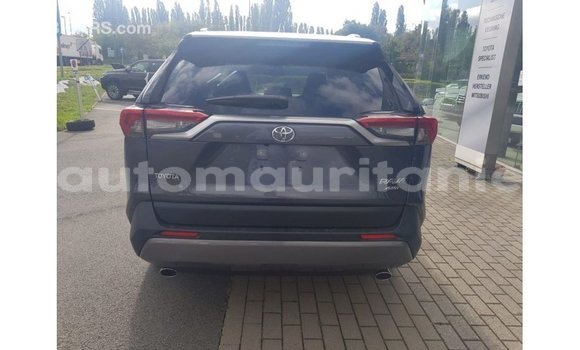 Buy Import Toyota RAV4 Other Car in Import - Dubai in Adrar Buy Import Toyota RAV4 Other Car in Import - Dubai in Adrar