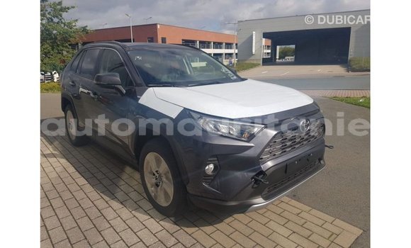 Buy Import Toyota RAV4 Other Car in Import - Dubai in Adrar Buy Import Toyota RAV4 Other Car in Import - Dubai in Adrar