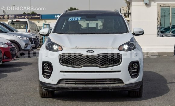 Buy Import Kia Sportage White Car in Import - Dubai in Adrar Buy Import Kia Sportage White Car in Import - Dubai in Adrar