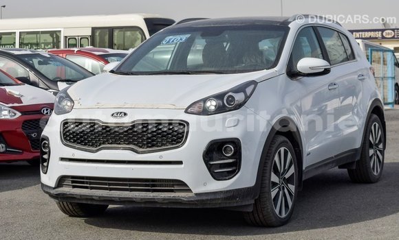 Buy Import Kia Sportage White Car in Import - Dubai in Adrar Buy Import Kia Sportage White Car in Import - Dubai in Adrar