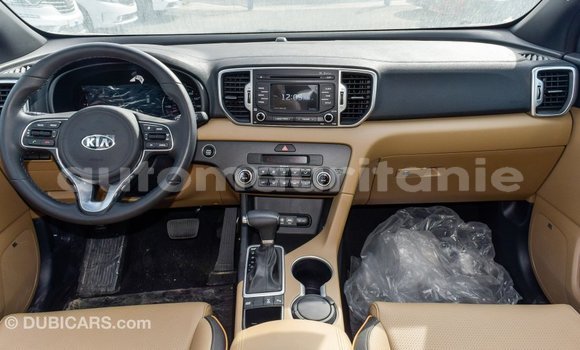 Buy Import Kia Sportage White Car in Import - Dubai in Adrar Buy Import Kia Sportage White Car in Import - Dubai in Adrar