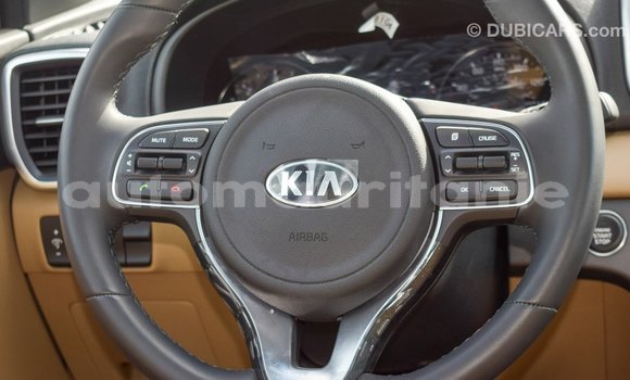 Buy Import Kia Sportage White Car in Import - Dubai in Adrar Buy Import Kia Sportage White Car in Import - Dubai in Adrar