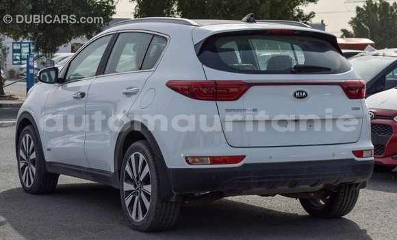 Buy Import Kia Sportage White Car in Import - Dubai in Adrar Buy Import Kia Sportage White Car in Import - Dubai in Adrar