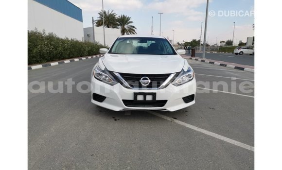 Buy Import Nissan Altima White Car in Import - Dubai in Adrar Buy Import Nissan Altima White Car in Import - Dubai in Adrar