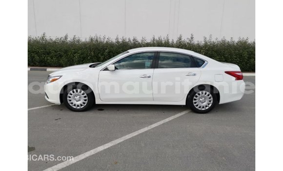 Buy Import Nissan Altima White Car in Import - Dubai in Adrar Buy Import Nissan Altima White Car in Import - Dubai in Adrar